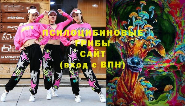 ECSTASY Михайловка