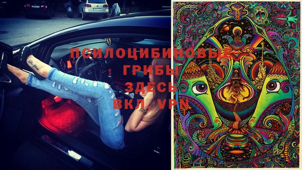 стафф Михайлов