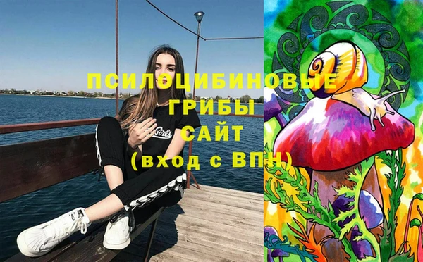 ГАЛЛЮЦИНОГЕННЫЕ ГРИБЫ Михайловск